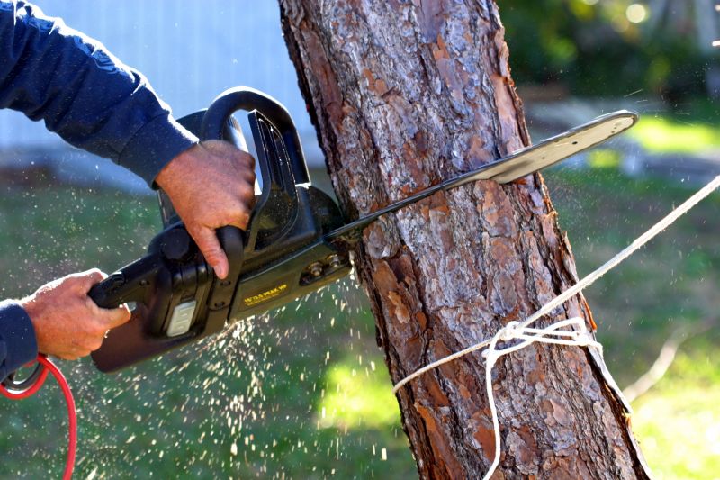 Increase Your Tree Removal Business with an AI Driven, Targeted Website